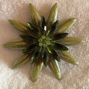 unsigned Avacado brooch great 70’s vibe.